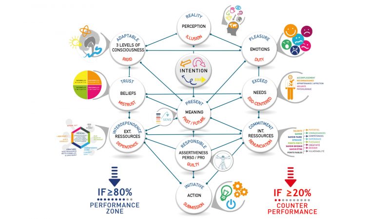 cv-expert-behavioral-mechanisms-decision-making