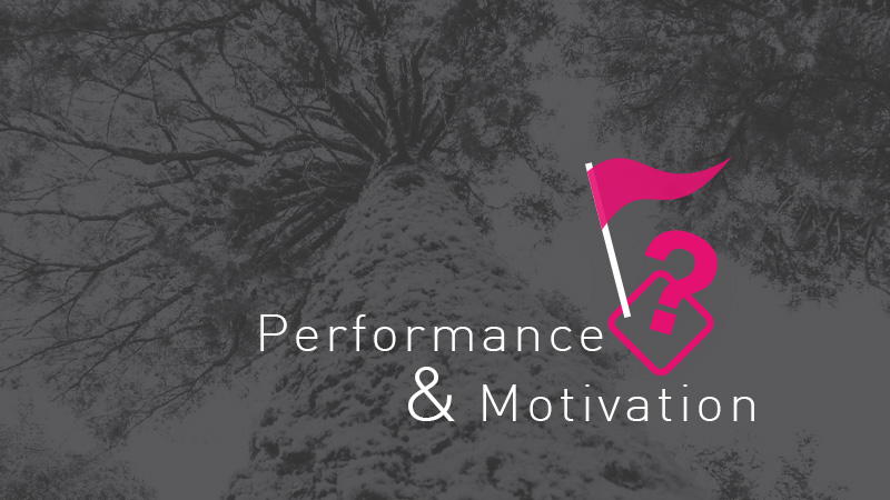 performance-motivation