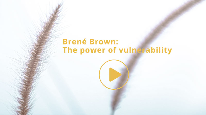 video-brene brown-the power of vulnerability
